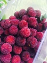 平凡的爱情之路_2000字