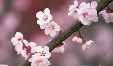 三年级状物作文：好看的“海底世界”_550字