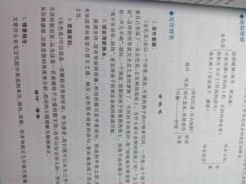看完《金花》的感想_300字