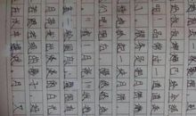 关于秋分的作文：月到中秋分外明_350字