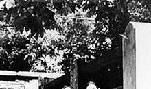 茅盾青少年文学院海选优秀作品：青春——文学梦