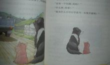 读《明天的落叶摇不下来》有感_600字