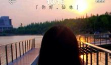 世界的牵手_800字