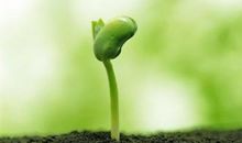 [PK赛]关于生命的作文：魔鬼的生命_350字