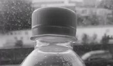 茅盾青少年文学院海选优秀作品：牵牛花•我•青春