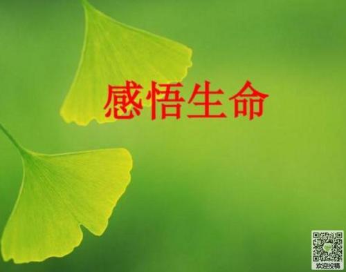[PK赛]关于人生的构图：人生是一场美好的运动_800字
