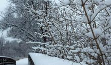 我爱那冬天的雪_600字