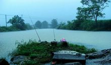 第一次钓鱼_400字