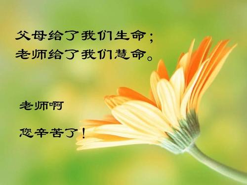 [PK赛]关于人生的构图：感谢您的人生_500字