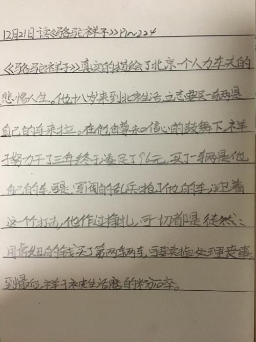 关于阅读《骆驼相子》 _500字的思考