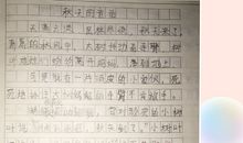 茅盾青少年文学院海选优秀作品：秋天的童话