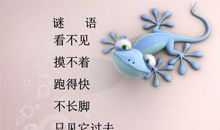 读《和时间赛跑》有感_300字