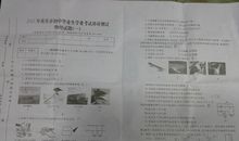 2015年重庆中考满分作文：微笑的味道_1500字