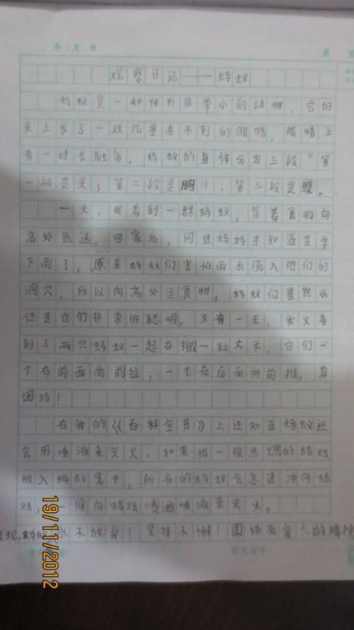 第一天第一天作文：陶林蔡枫_900字