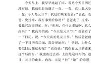 关于元旦的作文：一个快乐的元旦_600字