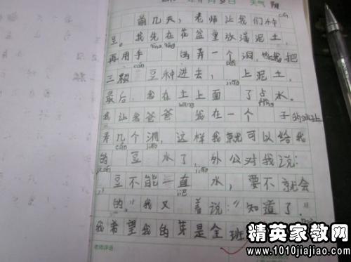 三年级作文：大豆观察日记_500字