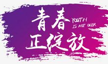 青春的绽放_650字