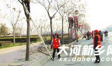 读《行道树》有感_800字