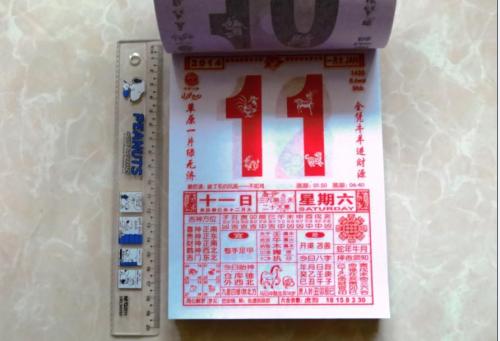 我的home_500字