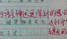 关于过年的作文：青春的礼花——过年回老家听奶奶话当年_1200字