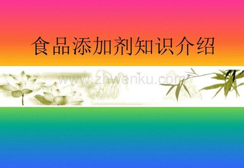 我最期待的_450字词