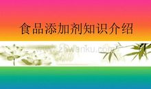 我最盼望的_450字