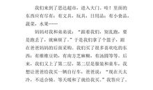 关于元旦的作文：元旦见闻_1000字