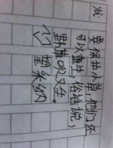 生日作文：老师的生日祝福_650字