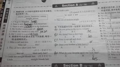 学校【提交】_100字