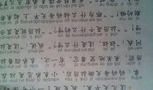 关于过年的作文：过年趣事多_800字