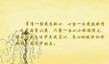 关于感恩节的作文：感恩的心_800字