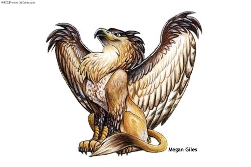 Eagle_800字