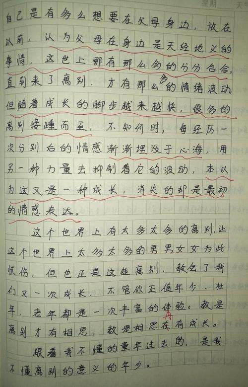 关于阅读《傅雷书信》的思考（3）_600字