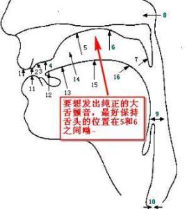 难以置信的心理_300字