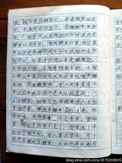 关于新年的作文：New Year_1200字