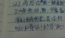 爱护动物_500字