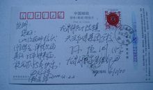 友谊的见证_800字