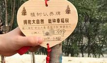 传递雷锋精神_800字