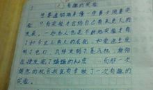 我爱我家（20）_300字