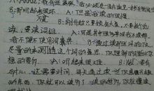 关于圣诞节的作文：圣诞节_400字
