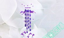 我爱我家（19）_700字