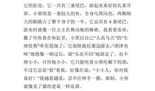 我观察小金鱼_350字