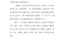 《城南旧事》读后感_800字