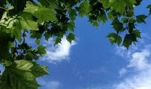 [PK赛]关于夏天的作文:初夏，告别时节_450字