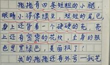 五年级日记：小街_500字