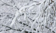 雪成为了快乐的源泉_900字