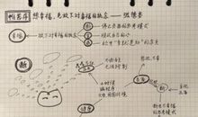 阅读笔记-《你在为谁读书》_900字