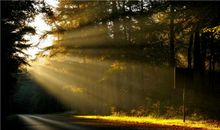 在路上，总有那么一盏灯_550字