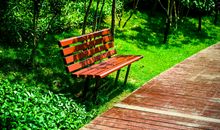 公园的一角 _250字