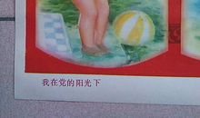 党的阳光下_1500字